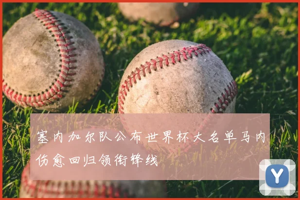 塞内加尔队公布世界杯大名单马内伤愈回归领衔锋线