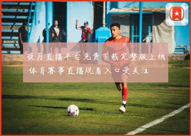夜月直播平台免费下载完整版上线 体育赛事直播观看入口受关注